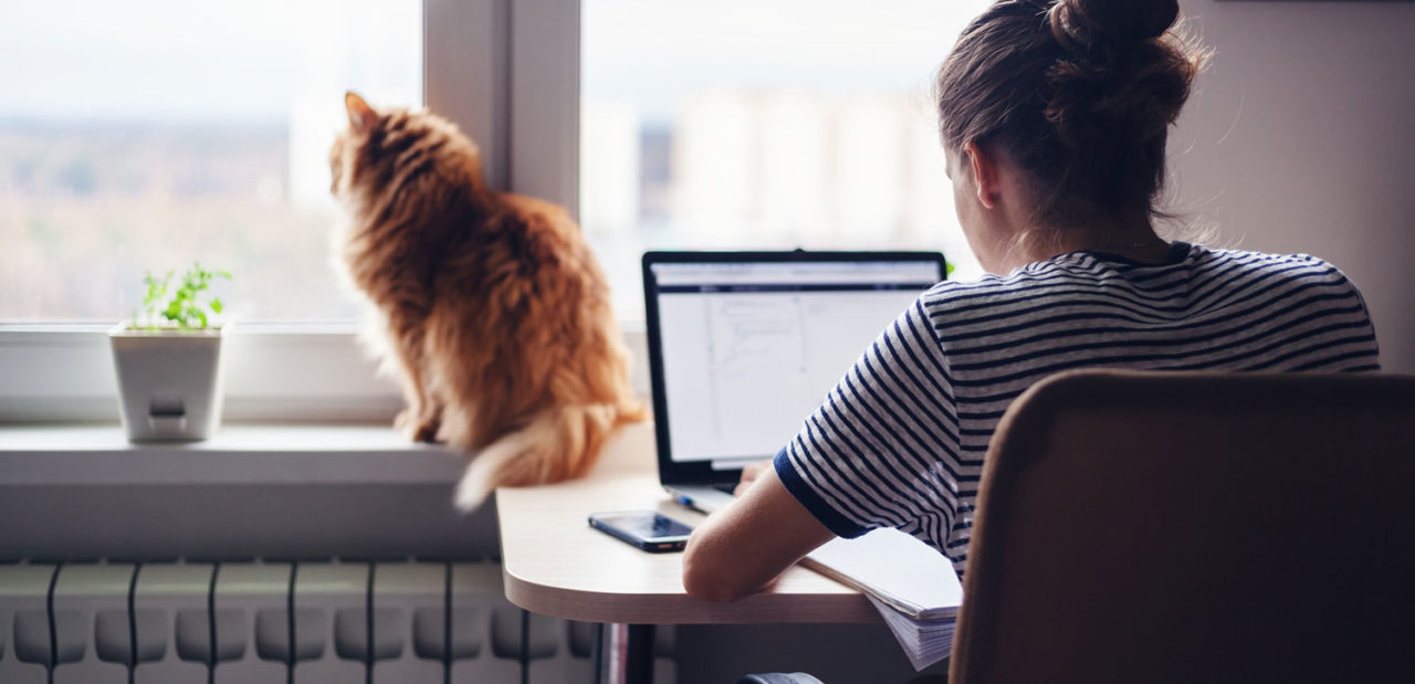 Wenn das Homeoffice vom Arbeitgeber gezahlt wird InfoMedia News